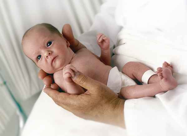 Новорождённый в семье: первые 3 месяца жизни 
