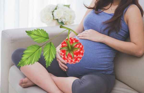 Малина во время беременности 