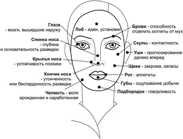 Физиогномика – наука о лице 