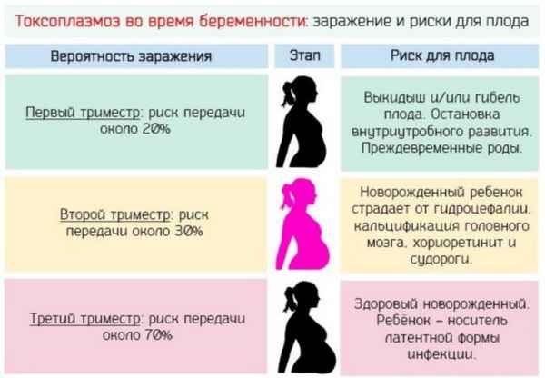 Токсоплазмоз при беременности — симптомы и лечение| 