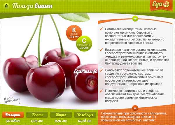 Продукты для здоровья: вишня, польза и вред 