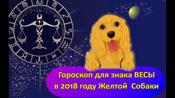 Гороскоп для знака Весы Жёлтой Собаки 