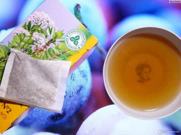 Чай от кашля с медом: применение фиточая, меры предосторожности