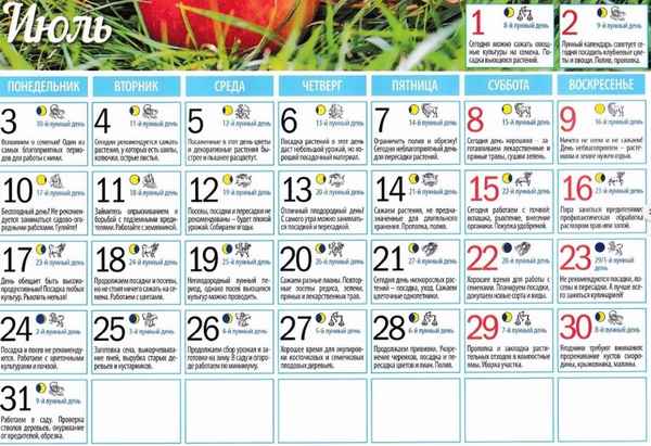 Лунный календарь огородника садовода на июль 2019