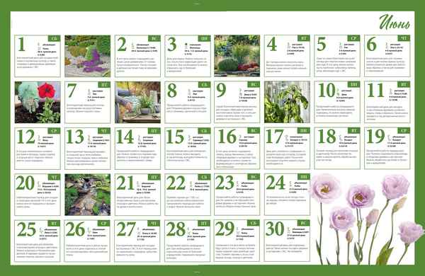 Лунный календарь огородника садовода на июнь 2019
